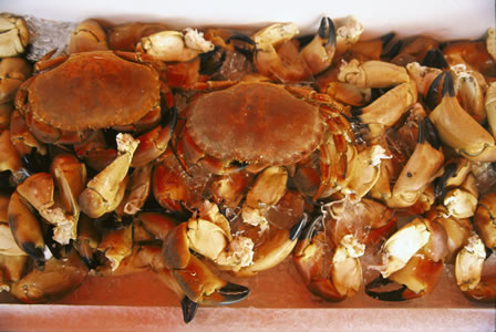 Jens Henrik Nybo / Innovation Norway